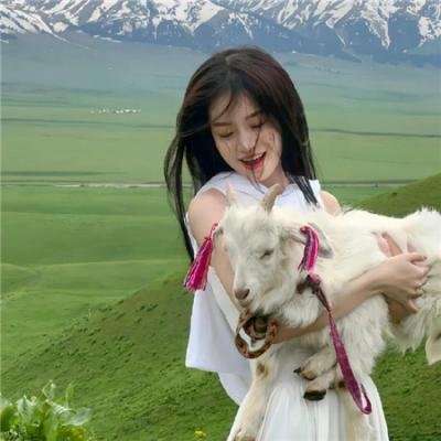 《宫本武藏：双剑飞驰之梦》海报