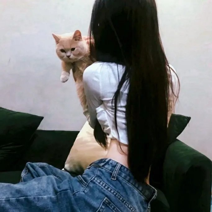 《萝蕾莱》海报